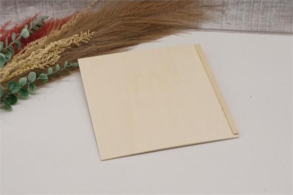 Ersatzdeckel | für Genussbox | 20 x 20 x 7,4 CM