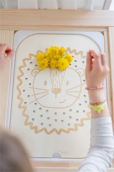 Löwenplatte | Igelkind